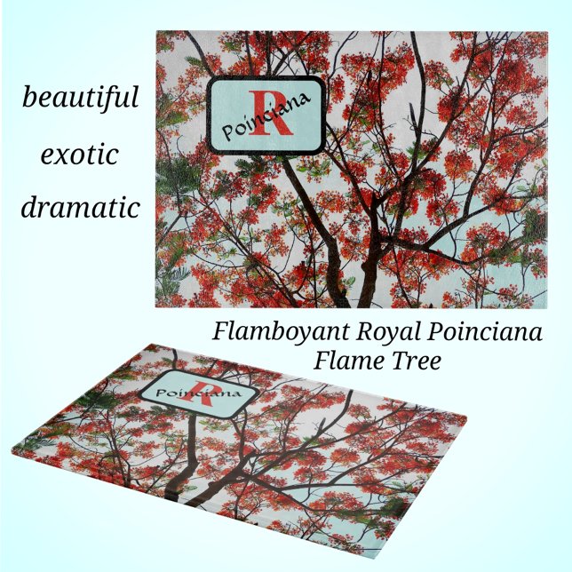 Tabla De Cortar Real Poinciana Flamboyante Flame Tree Red Black (Subido por el creador)