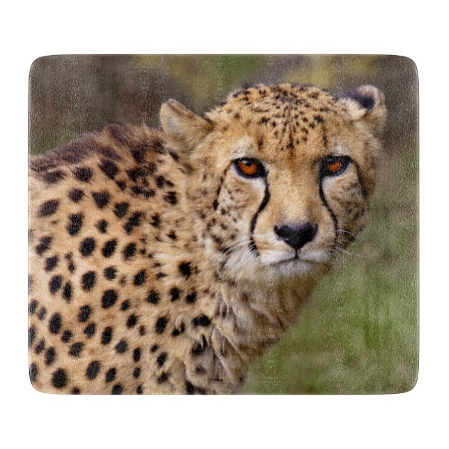 Tabla de cortar rectangular Cheetah (Anverso)