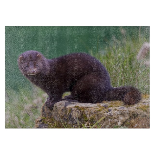 Tabla de cortar rectangular del visión americano (Anverso)