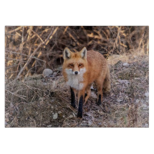 Tabla De Cortar Red Fox cerca y personal