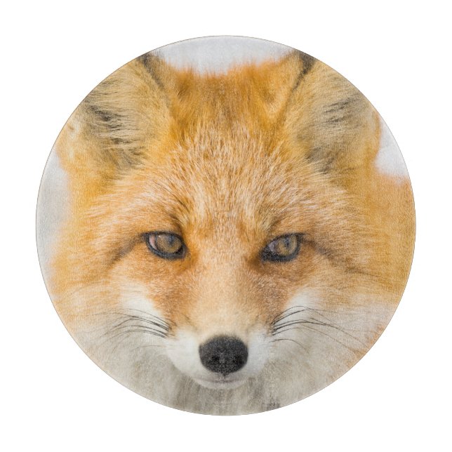 Tabla De Cortar Red Fox Portrait (Anverso)