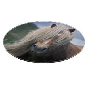 Tabla De Cortar Reino Unido, Escocia, Islas Shetland, pony de Shet