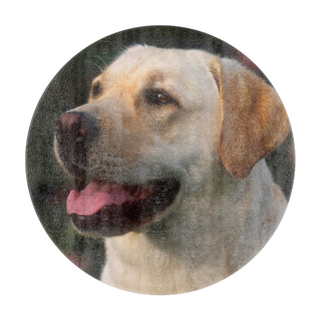 Tabla De Cortar Retrato de Labrador Retriever, Hilton (Anverso)