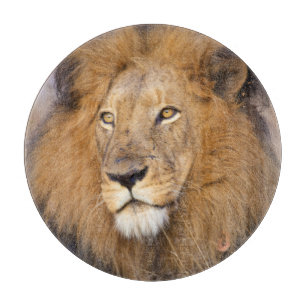 Tabla De Cortar Retrato de un León mirando a la distancia