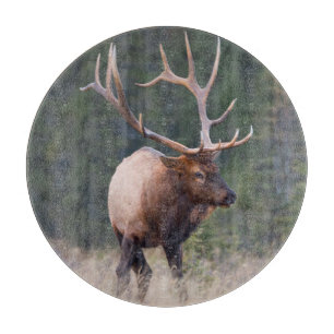 Tabla De Cortar Rocky Mountain Elk