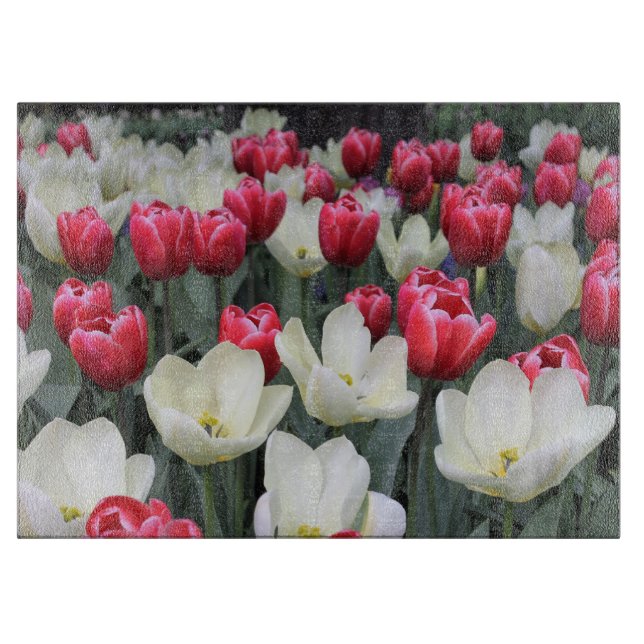 Tabla de cortar roja y blanca de los tulipanes de (Anverso)