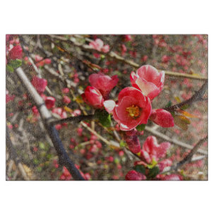 Tabla De Cortar rojo en primavera