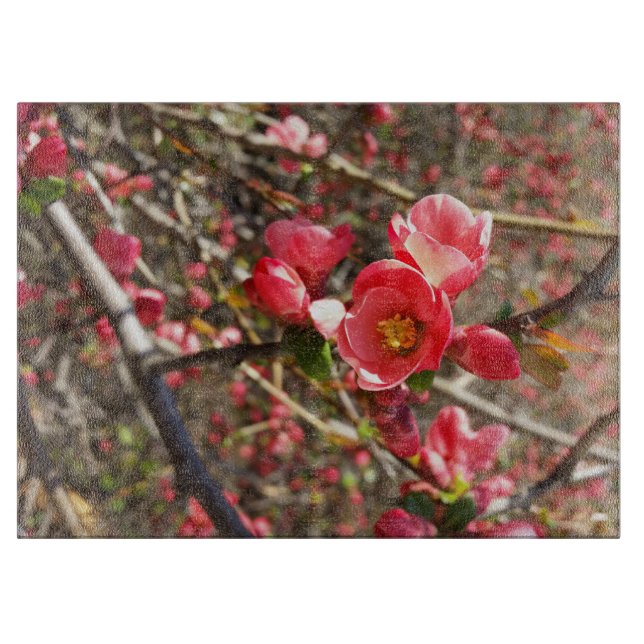 Tabla De Cortar rojo en primavera (Anverso)