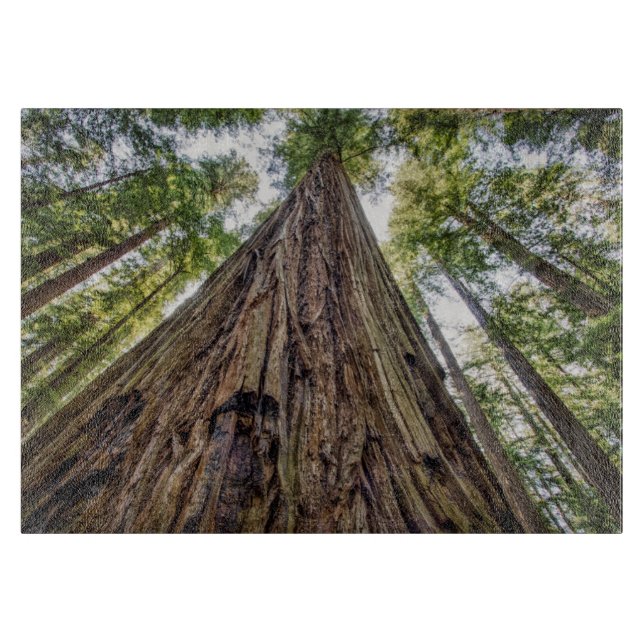 Tabla De Cortar Roosevelt Grove (Anverso)