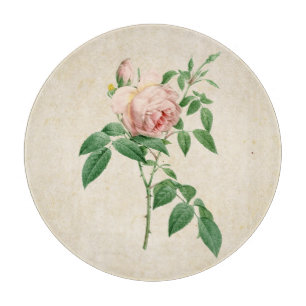 Tabla De Cortar Rosa indica fragrans ilustracion botánico