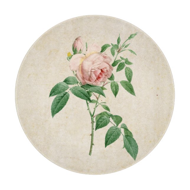 Tabla De Cortar Rosa indica fragrans ilustracion botánico (Anverso)