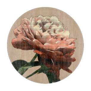 Tabla De Cortar Rosa rojo de rubíes con los acentos blancos