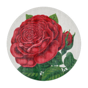 Tabla De Cortar Rose Print Rochester Litografía e Imprenta Co