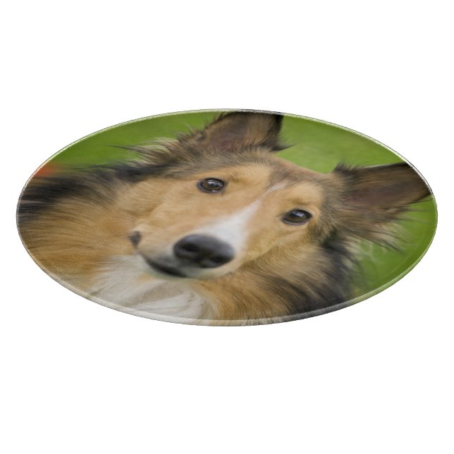 Tabla De Cortar Rough Collie, perro (Borde)