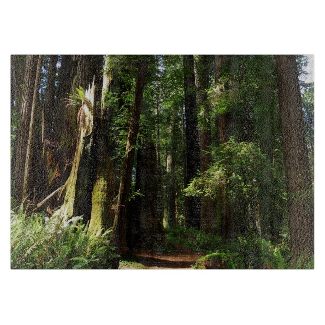 Tabla De Cortar Secuoyas y ferris en el Parque Nacional Redwood (Anverso)