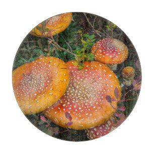 Tabla De Cortar Setas de mosca agaric en el lago Mowich