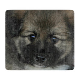 Tabla De Cortar Sheepdog islandés 2014-0808