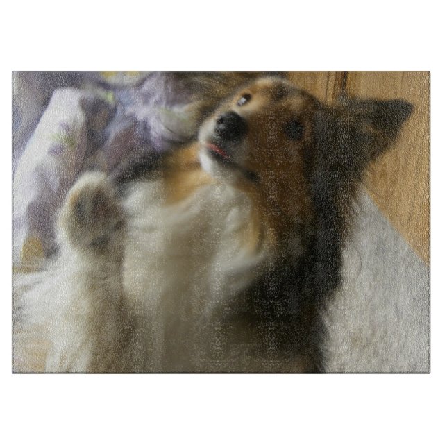 Tabla De Cortar Shetland Sheepdog Pidiendo (Anverso)