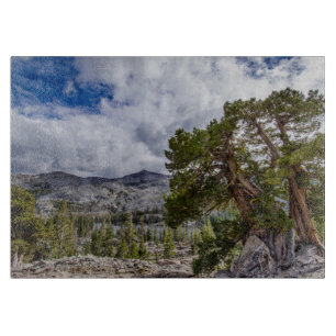 Tabla De Cortar Sierra Juniper y árboles de hoja perenne