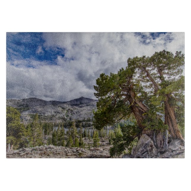Tabla De Cortar Sierra Juniper y árboles de hoja perenne (Anverso)