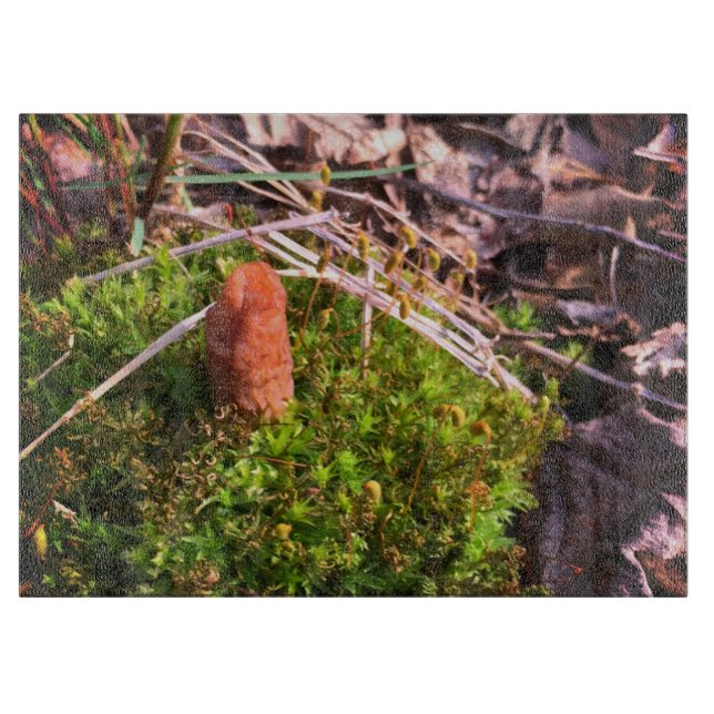 Tabla De Cortar Spring Morel (Anverso)