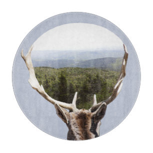 Tabla De Cortar Su dominio