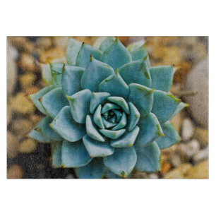 Tabla De Cortar Suculento