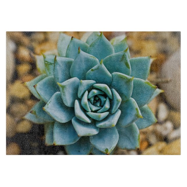 Tabla De Cortar Suculento (Anverso)