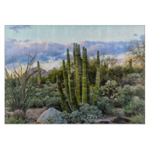 Sunset de Scottsdale