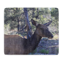 Tabla De Cortar Tablero de corte de aletas