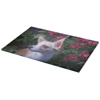 Tabla De Cortar Tablero de corte de vidrio/embutido fotográfico