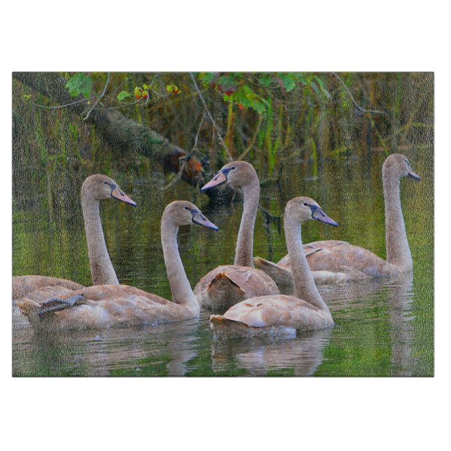 Tabla De Cortar Tablero de corte de vidrio para cisnes (Anverso)
