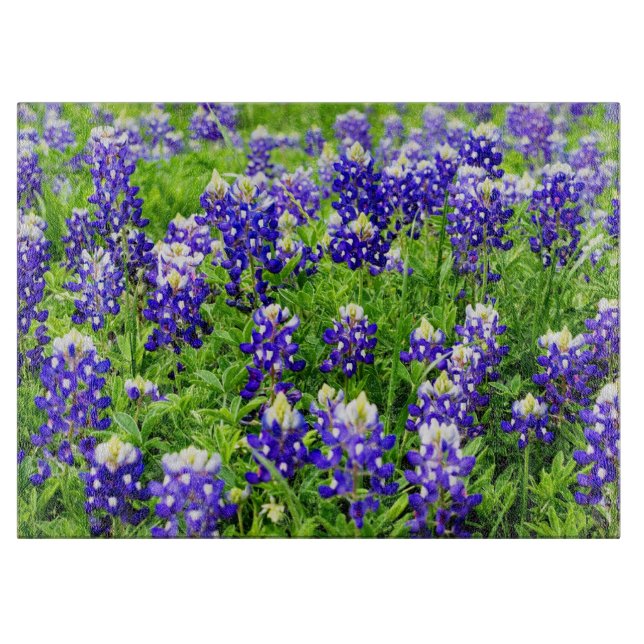 Tabla De Cortar Tablero de vidrio azul de Texas (Anverso)