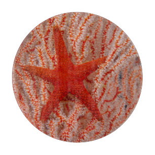 Tabla De Cortar Tailandia, Estrella de Mar