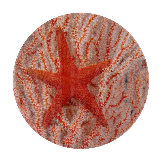 Tabla De Cortar Tailandia, Estrella de Mar (Anverso)