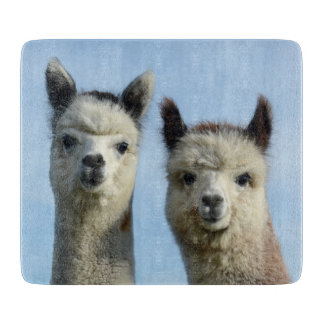 Tabla De Cortar Tajadera de la alpaca