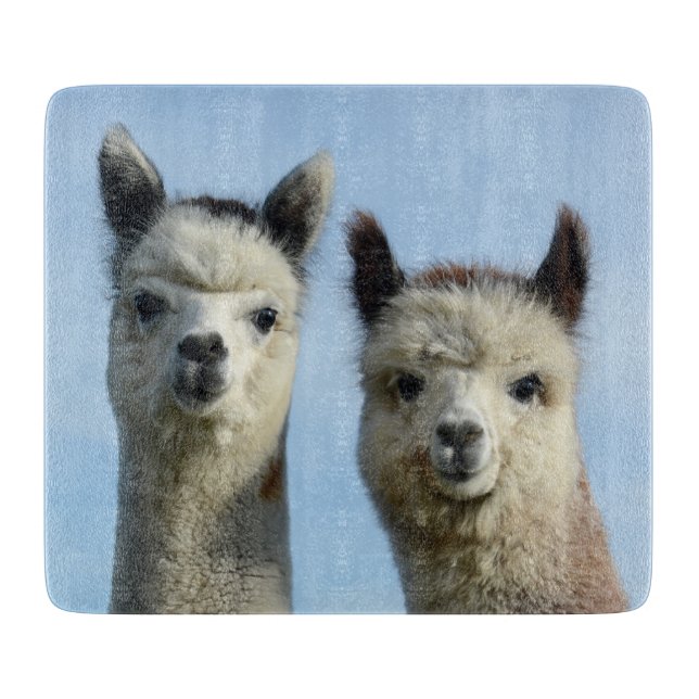Tabla De Cortar Tajadera de la alpaca (Anverso)