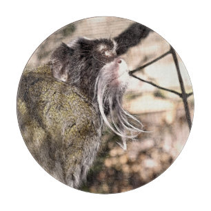 TABLA DE CORTAR TAMARIN MONKEY