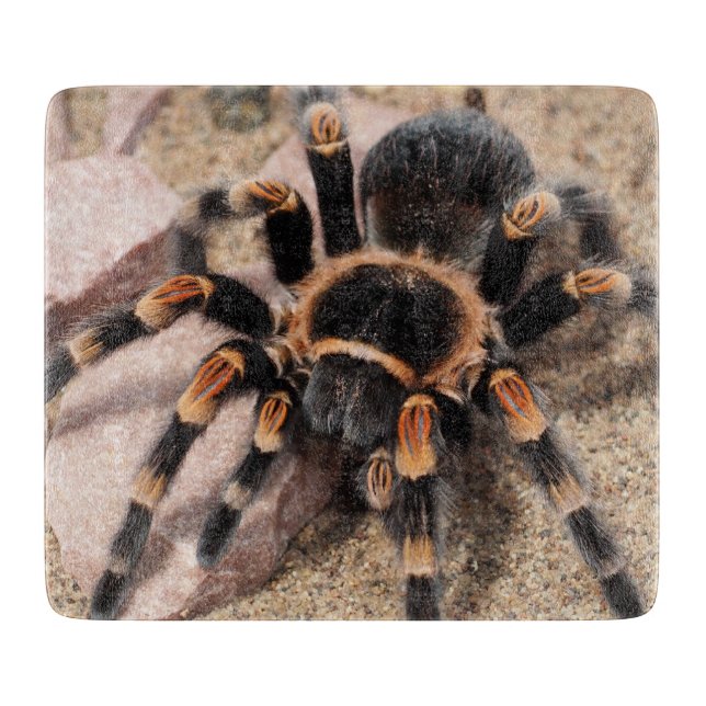 Tabla De Cortar Tarantula Spider (Anverso)
