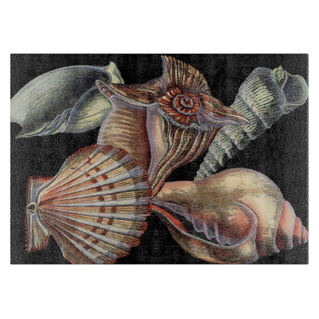 Tabla De Cortar Tesoros del mar (Anverso)