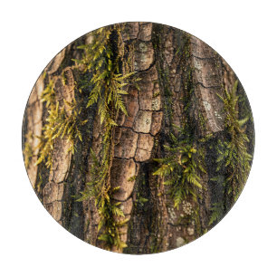 Tabla De Cortar Textura de corteza de árbol musgoso del bosque
