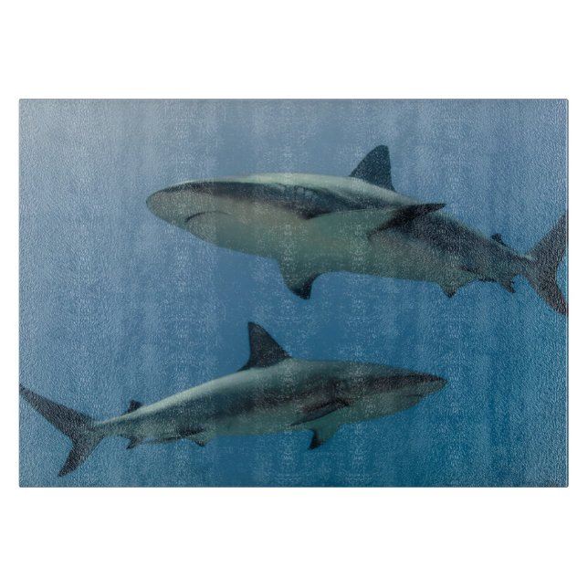 Tabla De Cortar Tiburón de arrecife del Caribe (Anverso)