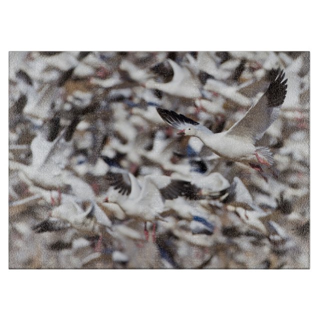 Tabla De Cortar Tiempo de detonar (Anverso)