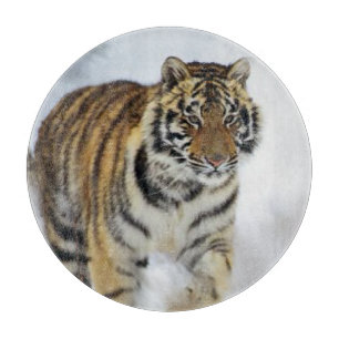 Tabla De Cortar Tiger Aovers Art