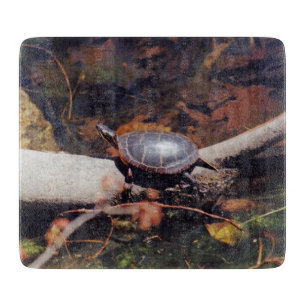 Tabla De Cortar Tortuga feliz