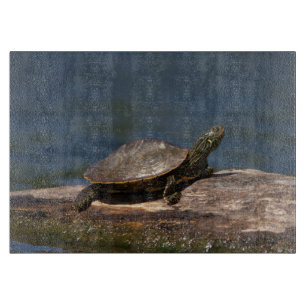 Tabla De Cortar Tortuga pintada en un tronco