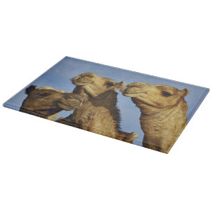 Tabla De Cortar Trío de camellos, mercado de camellos, El Cairo, E