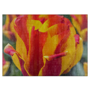 Tabla De Cortar Tulip-glass de Banja Luka