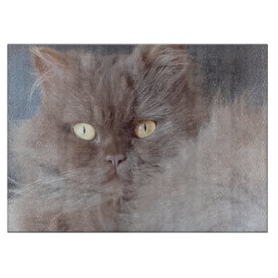 Tabla De Cortar Un gato mimado