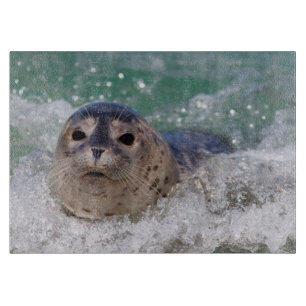 Tabla De Cortar Una cría de foca surfeando